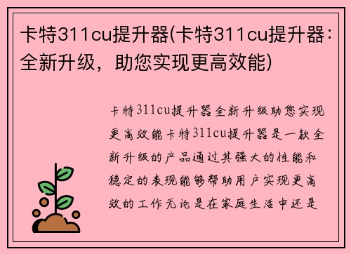 卡特311cu提升器(卡特311cu提升器:全新升级,助您实现更高效能)