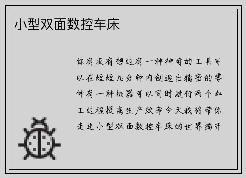 小型双面数控车床